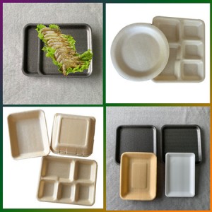 PLA Trays and Containers