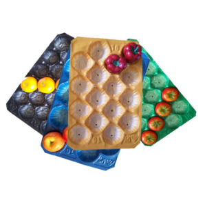New PP Material Fruit Tray with All Sizes and Colors for Packing and Displaying All Kinds of Fruit