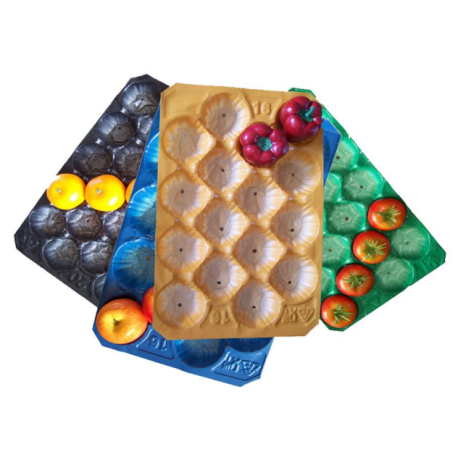 New PP Material Fruit Tray with All Sizes and Colors for Packing and Displaying All Kinds of Fruit Featured Image
