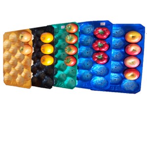 New PP Material Fruit Tray with All Sizes and Colors for Packing and Displaying All Kinds of Fruit