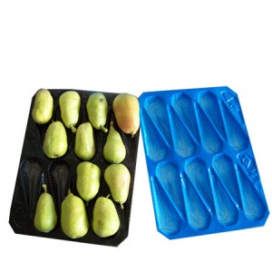 New PP Material Fruit Tray with All Sizes and Colors for Packing and Displaying All Kinds of Fruit
